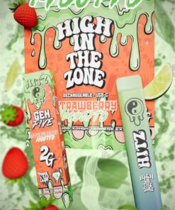 Hitz Strawberry mojito disposable