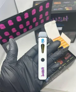Lush 2g Disposable