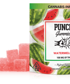 PUNCH GUMMIES- WATERMELON
