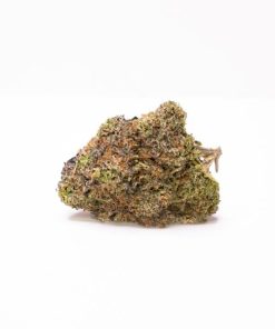 cherry mimosa strain