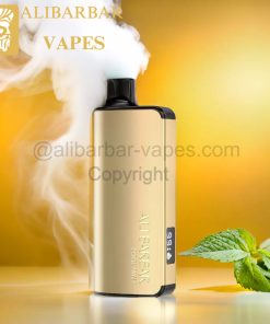 Cool Mint – INGOT 9000
