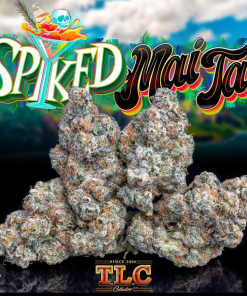 Jungle Boys | Spiked Mai Tai – 3.5g Flower
