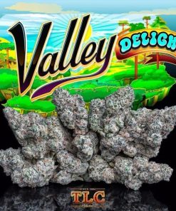 Jungle Boys | Valley Delight – 3.5g Flower