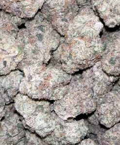 White Cherry Gelato Weed Strain