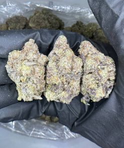 Buy Pink Runtz Strain Online