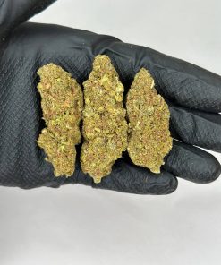 Gummy Bear weed strain