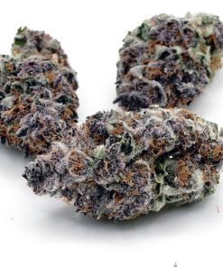 tropicana cherry strain