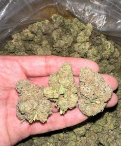 kush mints weed strain