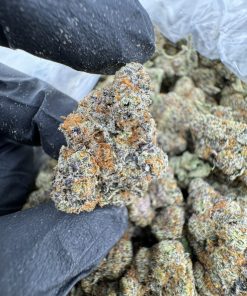 MOON DRIZZLE STRAIN