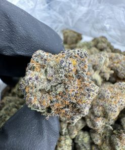 Bubblegum Runtz Strain