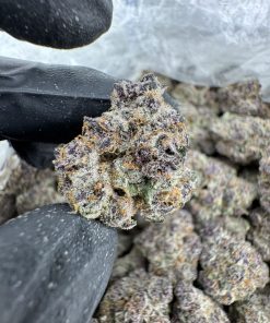 Promethazine strain