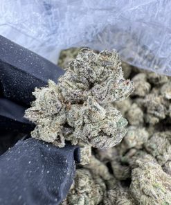 Candy Kush Strain