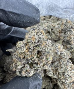 Candy Fumez Strain