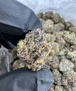 Blueberry Runtz Strain