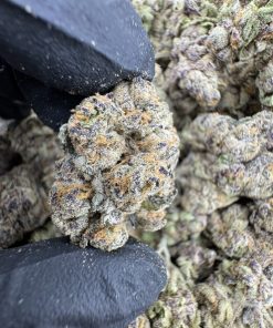 purple urkle weed strain