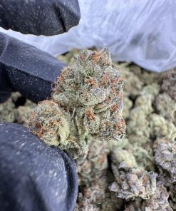 Gelato 41 Strain