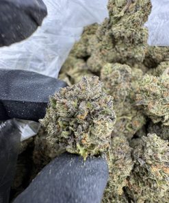 Triple Scoop Strain