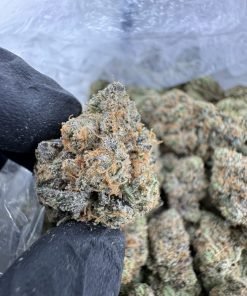 Professor Chaos Strain- 1LB HYBRID ZA