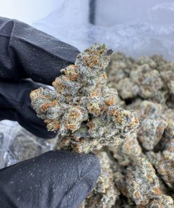 Oreo Mintz Strain