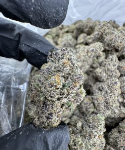 Gold Cash Gold Strain