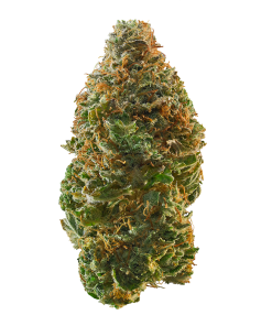 Apple Jack- 3.5g