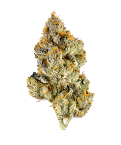 Lemon Cherry Gelato- 3.5G