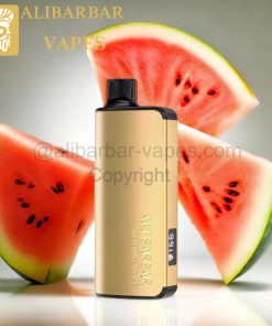 Watermelon Ice – INGOT 9000