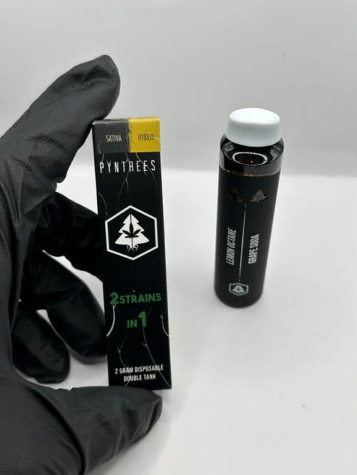 pyntrees 2g dual chamber disposable - Pyntrees Official